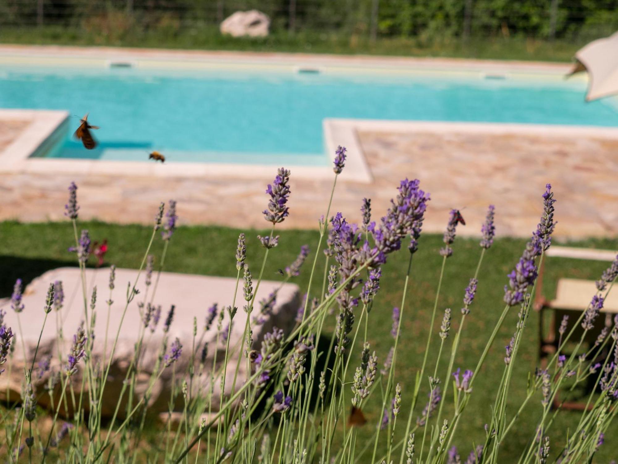 אורבינו Lacelletta Country House מראה חיצוני תמונה